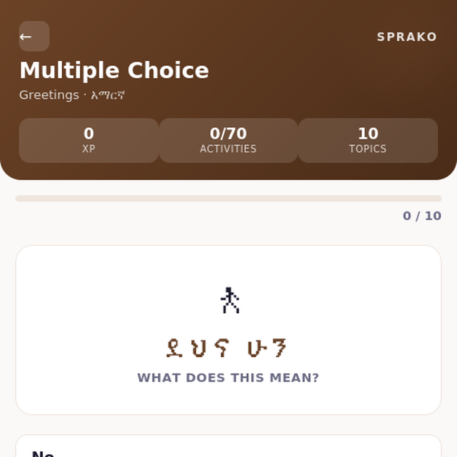 Sprako Amharic Language Pack - Image 4